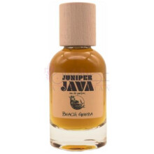 بیچ گیزا جانیپر جاوا